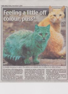 Cat who slept on a heap of old green paint. Daily Mail, December 5, 2014.  Mick Burton, continuous line drawing. 