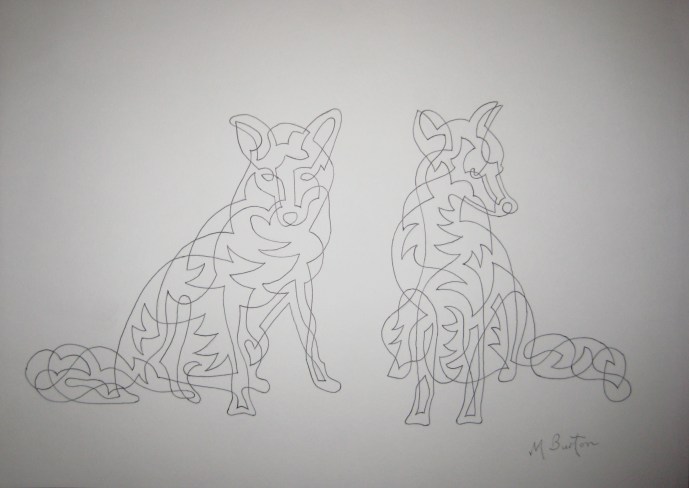 "Gledhow Foxes Sunbathing".  Association of Animal Artists "British Wildlife" exhibition, February & March 2015.  Mick Burton, Continuous line drawing. 