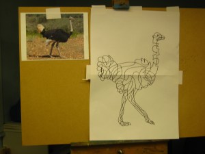 Ostrich continuous line, demonstration drawing by Mick Burton, with the assistance of members of Horsforth Arts Society.  January 2015.