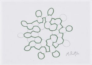 Continuous lines overdrawn on Skydiver formation design, using Four Colour Theory method. Mick Burton