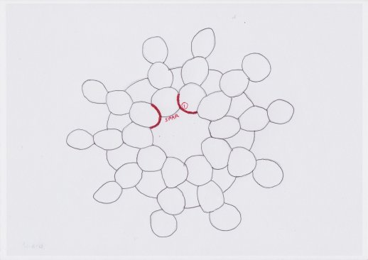 Assumed formation design used by Skydivers, with initial overdraws. Mick Burton four colour overdraw. 