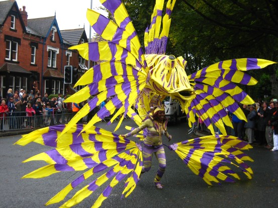 Violet and yellow costume at the Leeds Carnival. Photo by Mick Burton, continuous line artist.