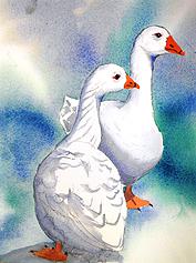 A Pair of Geese, painted by Charles Kelly in a demonstration at Alwoodley Art Group in 2013.