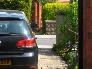 View across the road where a line of ducklings went by. Photo Mick Burton, continuous line artist,7.5.16.