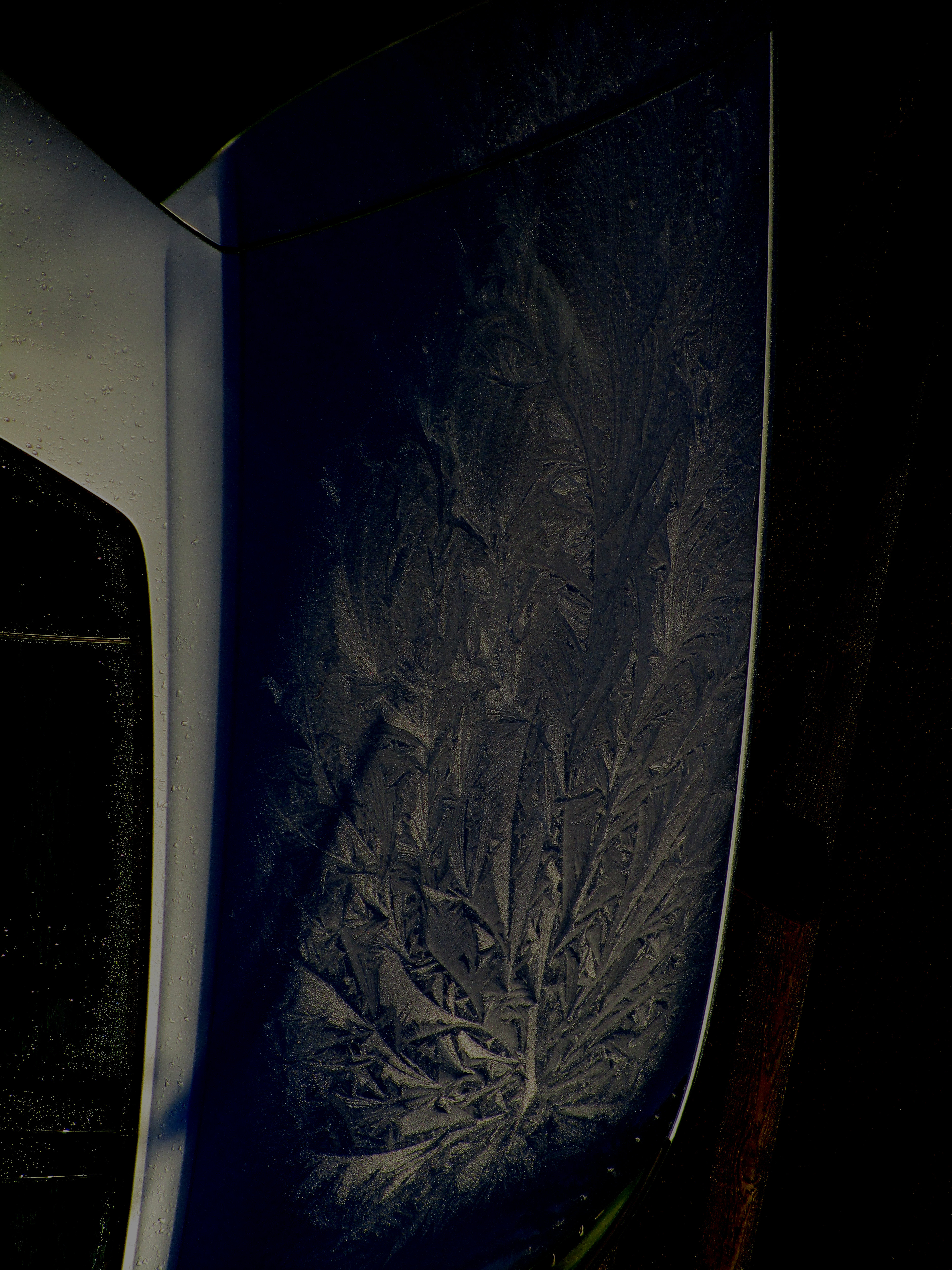 IMG_5104 - Copy LEAD PICTURE SHOWING BIT OF CAR